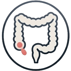 Icon Appendicitis