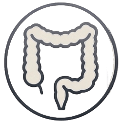 Icon Colorectal Surgery