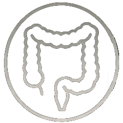 Icon Colorectal Surgery Dark