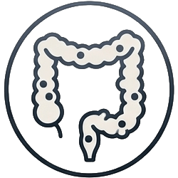 Icon Diverticular Disease