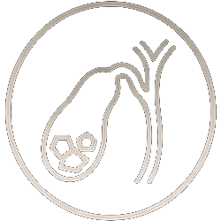Icon Gallbladder Biliary Surgery Dark