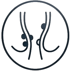 Icon Haemorrhoids