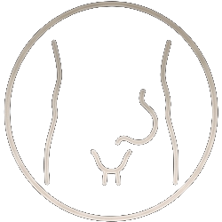 Icon Hernia Dark